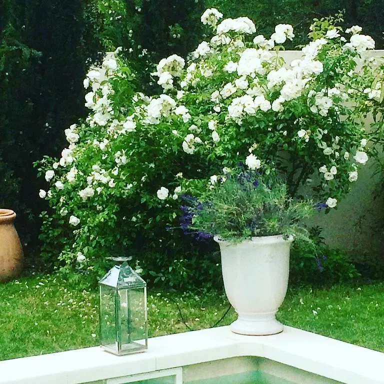 Villa Cezanne Aix-en-Provence